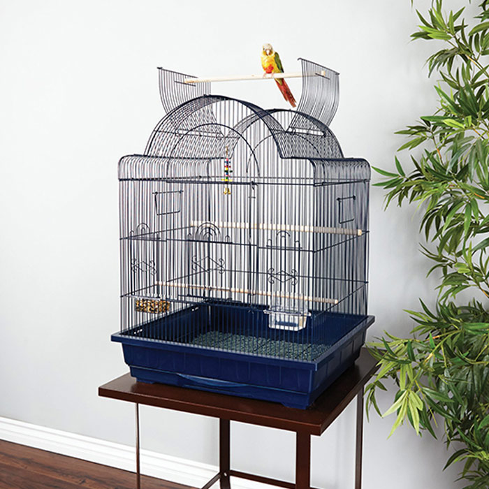 BIRD CAGE