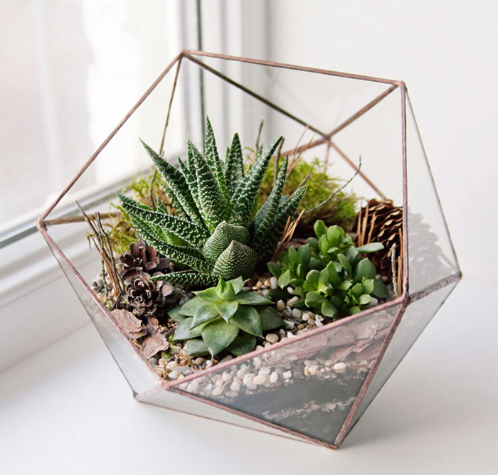 TERRARIUM