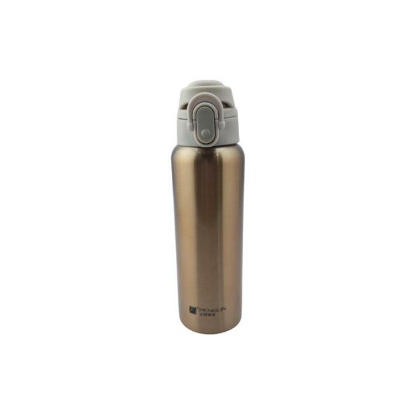 Penguin Vaccum Bottle 600 Ml