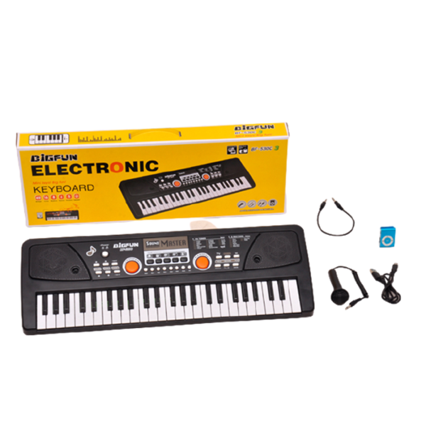 49 keys Big Fun Electric Organ Keyboard