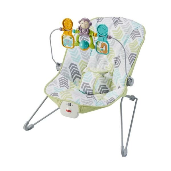 Fisher Price Baby Bouncer
