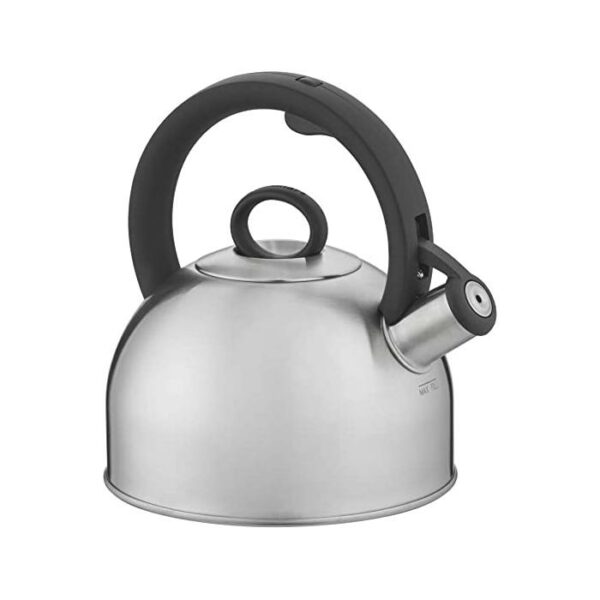 2 Quart Tea Kettle Professional Stainless Steel