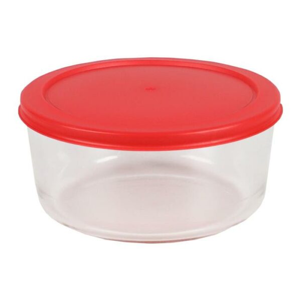 Borosilicate Glass Container Large