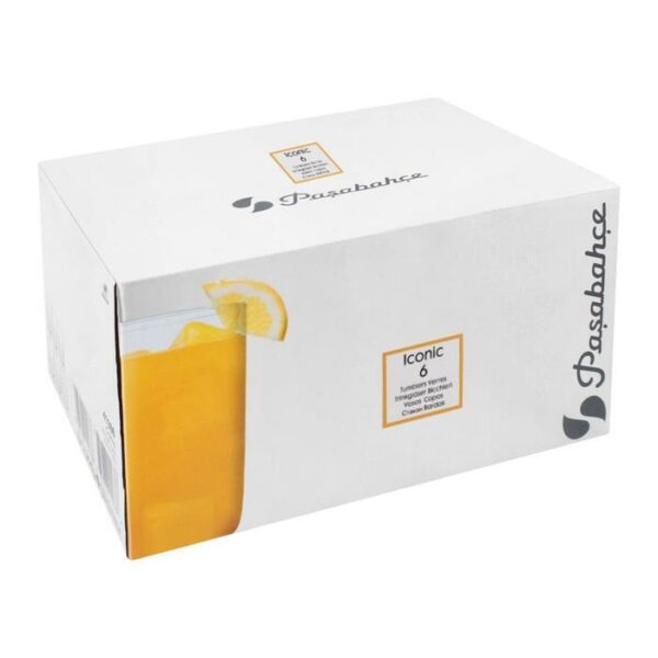 Iconic 6 Pieces Tumbler
