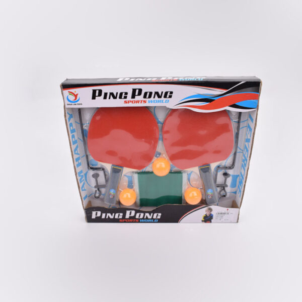 Table Tennis Ping Pong