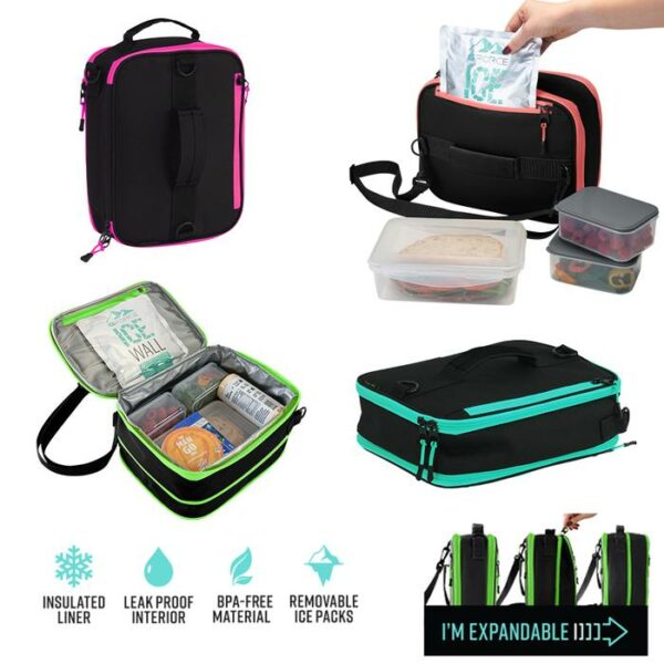Lunch Bag With 2 Printed Ice Pack Briths Assorted