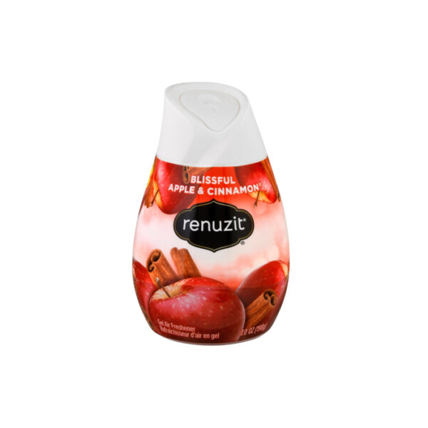Air Freshner Renuzit Adjustable Apple/Cinnamon 7oz