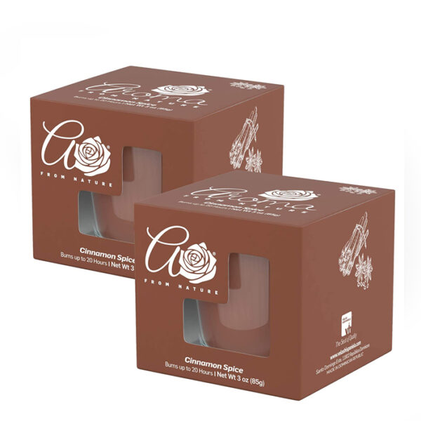 Cinnamon Spice Candle 3oz