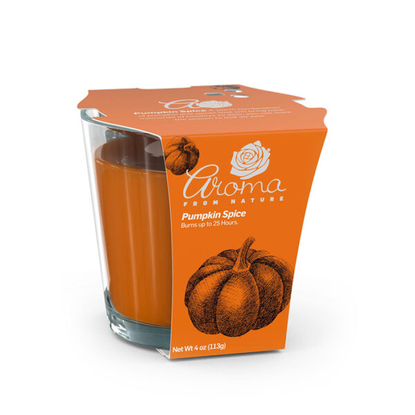 Pumpkin Spice Candle 4Oz