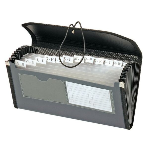 13 Pocket Check File Globe-Weis
