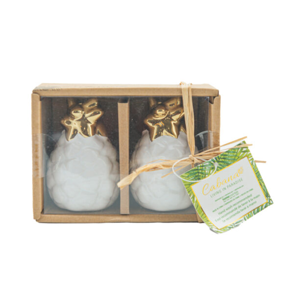 3'' H pineapple salt & pepper set