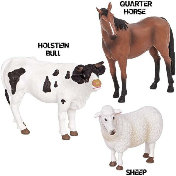 Farm Animals (Sheep,Bull & Horse)