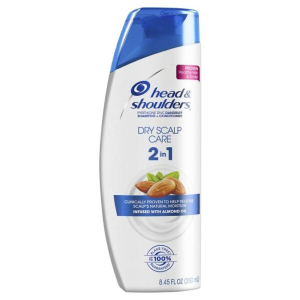 Head & Shoulders Shampoo Dry Scalp Care 2 In 1