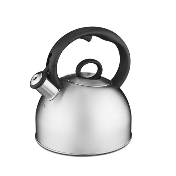 2Qt Tea Kettle