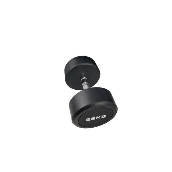 Gym Fixed Rubber Coated Dumbbell 25Kg