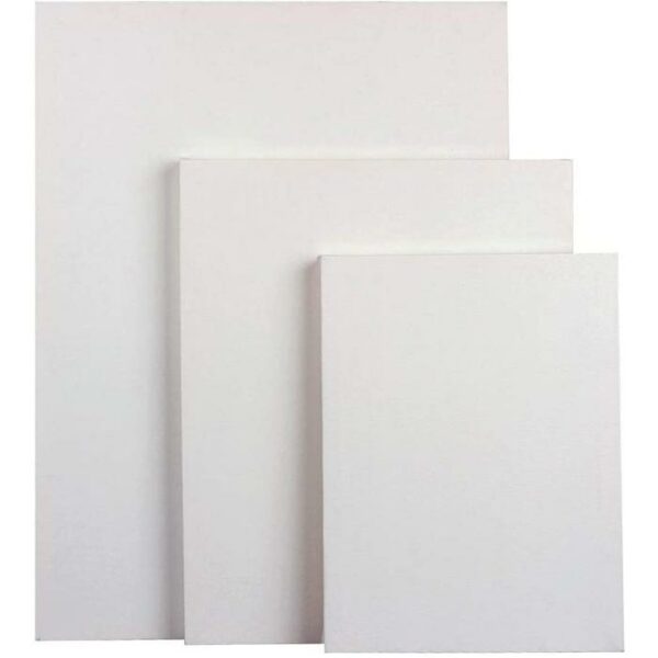 Stretch Canvas 3-Set Assorted Rectangular Primed