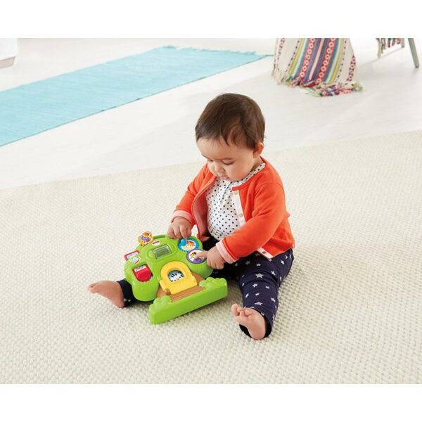 Fisher Price Busy Activity Assorted