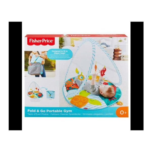 Fisher Price Fold & Go Portable Gym