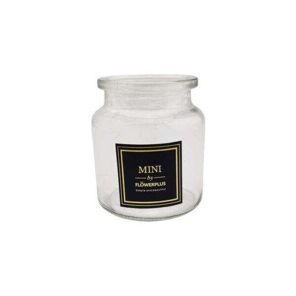 Glass Vase Jar Clear 11 Cm