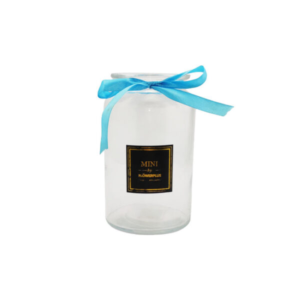 Glass Vase Jar Clear 18 Cm