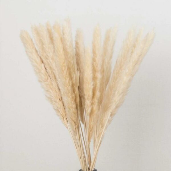 Artificial Feather 100 Cm