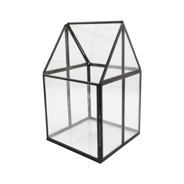 Glass house Terrarium 6"x6"