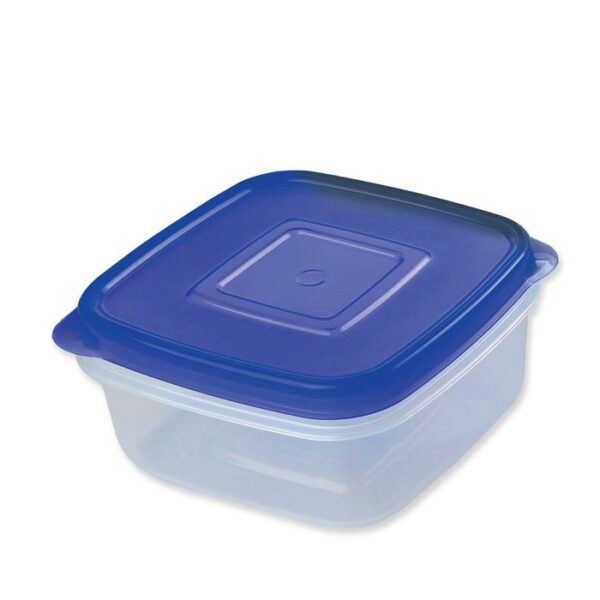 Casa Pica Food Container With Lid 0.3 Gallon Blue