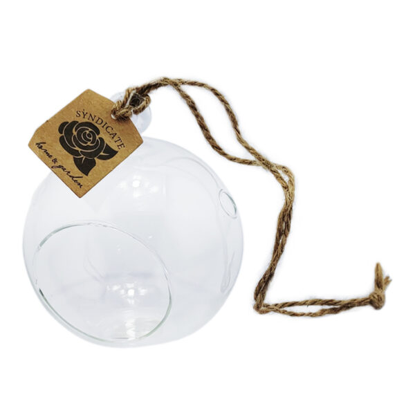 4" Round Hanging Terranium Crystal