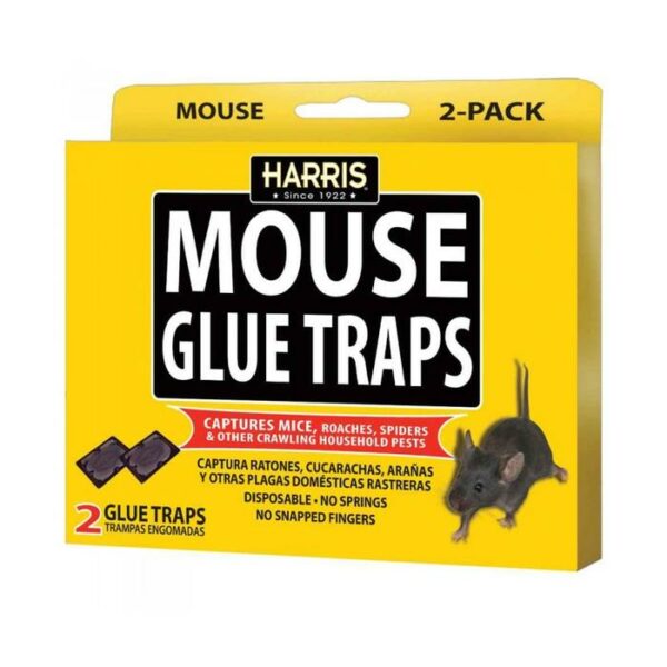 Harris Mouse Glue Traps