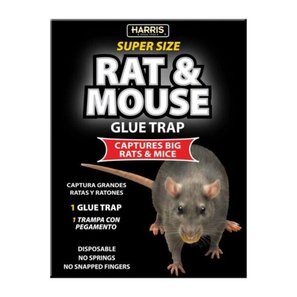 Harris Super Size Rat & Mouse Glue Trap