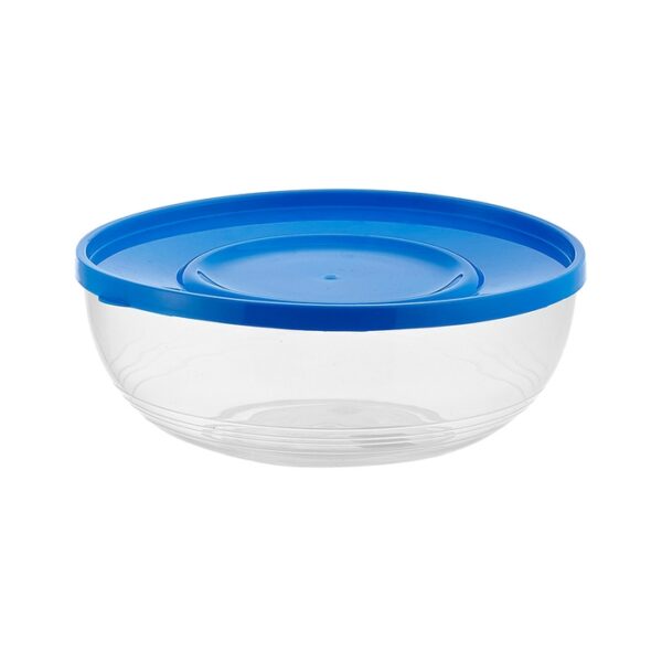 Plastic Bowl With Lid  #2 Blue