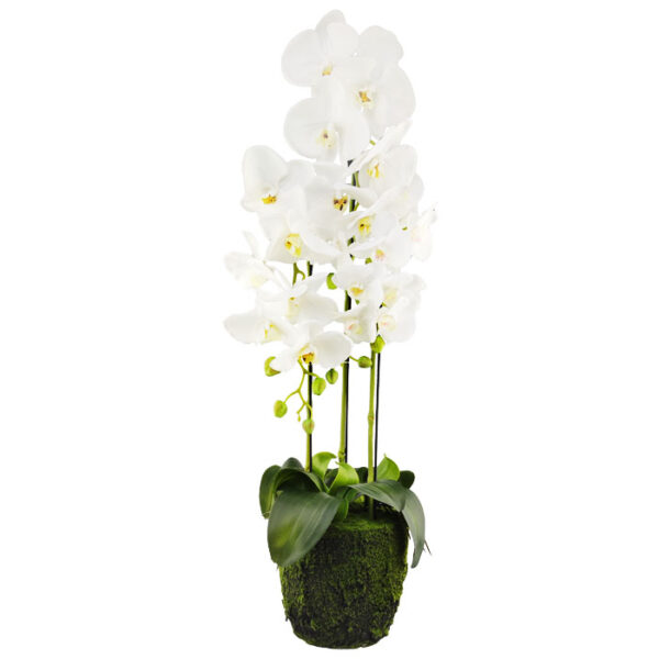 Artificial Orchid 3 Branch 80 Cm