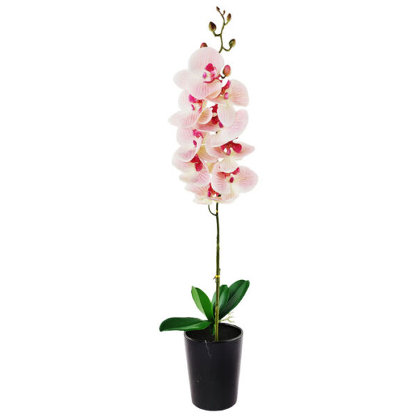 Artificial Orchid In Pot Assorted