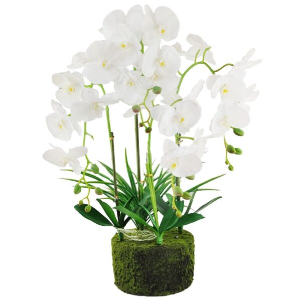 Artificial Orchid Assorted Colors  4 Branch 21Inch