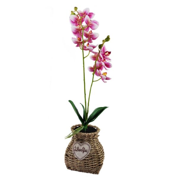 Artificial Plant Orchid Assorted Colors
