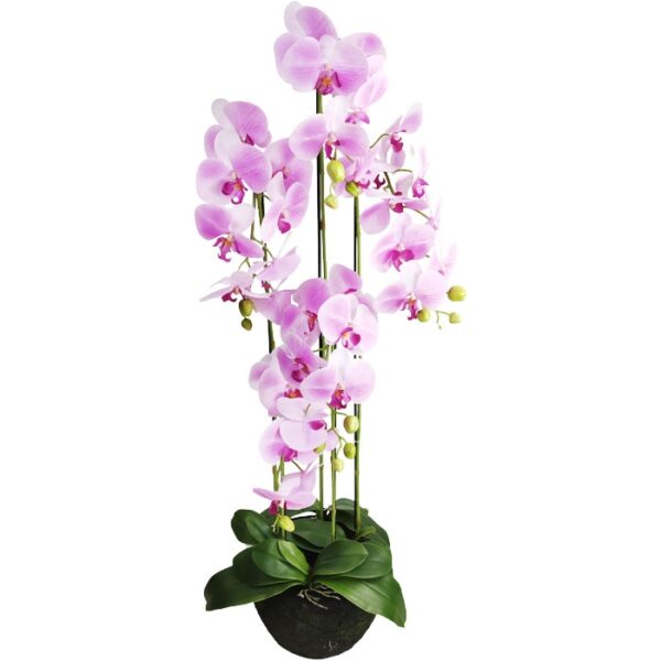 5 Branch Atificial Orchid 115Cm