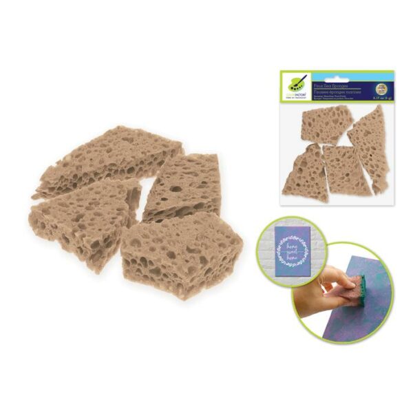 3"x2" Faux Sea Sponge For Painting