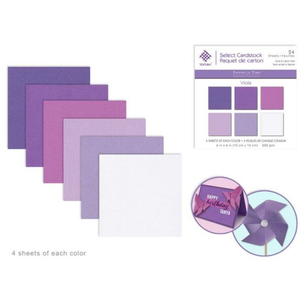 6"x6" Textura Select Packs Viola x24 Assorted
