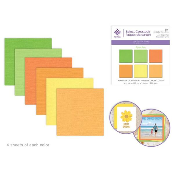 6"x6" Textura Select Packs Paradise x24 Assorted