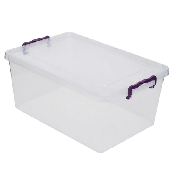 20 Liter Storage Box With Locking Lid