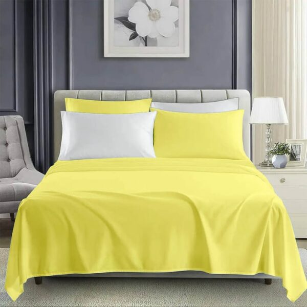6 Pieces Neon Sheets Queen Assorted Colors