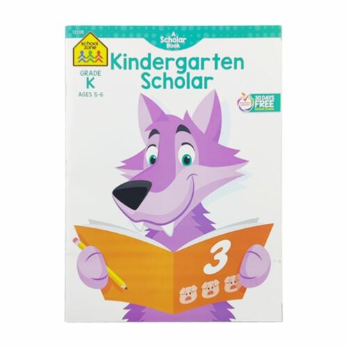 Assorted Workbooks School Zone