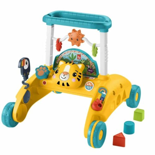 Fisher Price 2 Sided Steady Speed Walker