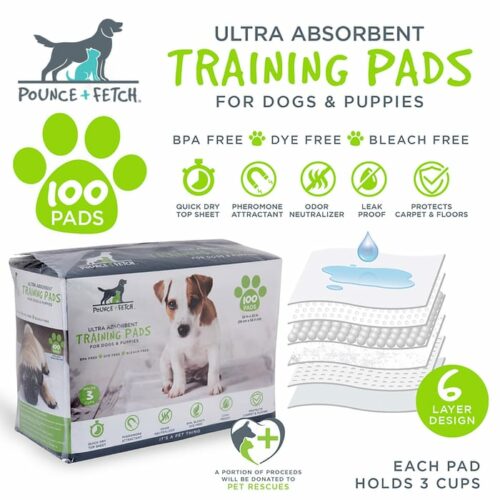 Dog Training Pads-100Pk 22"x23"